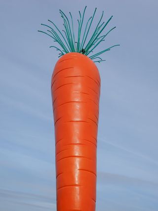 Carrot、Le Roi Carotte、Rosalie、red、madaris、ostfildern、esslingen、scharnhauser park