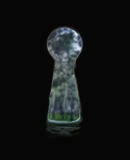 森林,秘密,模糊,钥匙,洞,黑暗,好奇,没有人 森林,秘密,模糊,钥匙,洞,黑暗,好奇,没有人