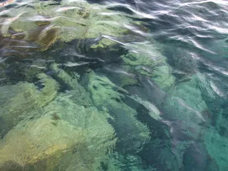 水，石头，石头，海，自然，石头，背景，全框架