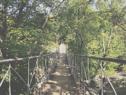 美国，lookout mountain，1351-1371 patten路，mountain，heights，wood，bridge，structure