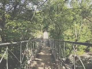 美国，lookout mountain，1351-1371 patten路，mountain，heights，wood，bridge，structure