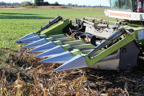 收获机claas霸主98 sl，前端，玉米收获，设备，农业，机械，农业，自然