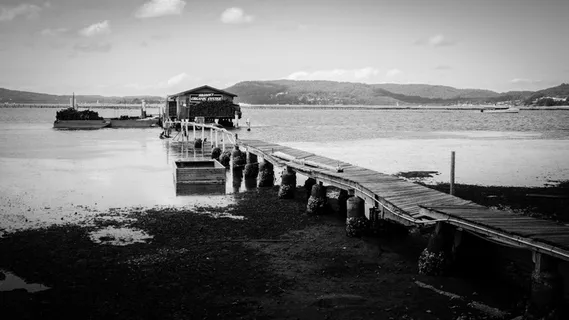 澳大利亚,woy woy,船,湖,水,码头,牡蛎,码头 澳大利亚,woy woy,船,湖,水,码头,牡蛎,码头