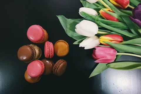 平面摄影,法国,杏仁饼,花朵,白色,粉色,郁金香,花朵 平面摄影,法国,杏仁饼,花朵,白色,粉色,郁金香,花朵