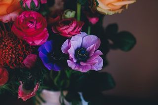 花朵，花朵，花束，装饰，植物，花朵，花瓣，花朵