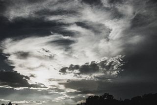 云-天空，天空，自然之美，树木，低角度视图，风景-自然，宁静，没有人