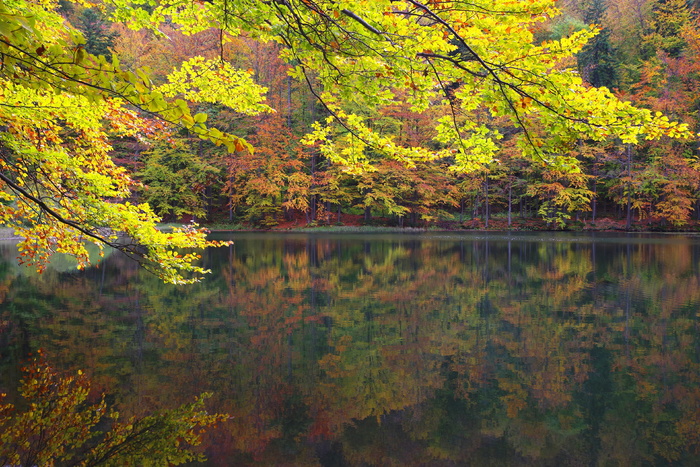 duszaty skie湖，景观保护区，zwiezło，波兰，bieszczady，秋天，倒影，景观