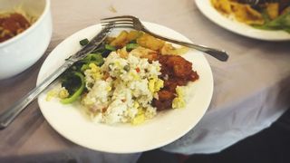 中国，外研社国际会议中心停车场，鸡肉，大米，盘子，晚餐，饥饿，刀