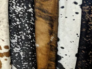 美国, 芝加哥, 密歇根大道 500 号, 牛皮, 斑点, 动物, 动物主题, 模式