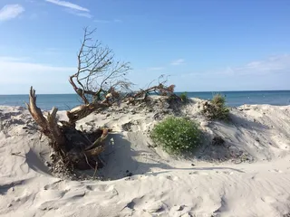 海滩，无压力，自然，海洋，沙滩，景观，水，陆地