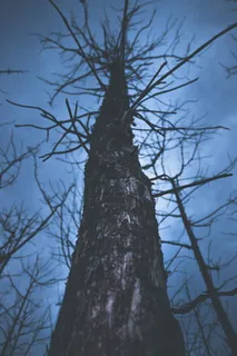 佳能，kitlens，kit lens，镜头，600d，18-55mm，18-55，晚上