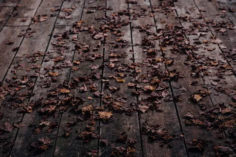 风化、树叶、棕色、木质、托盘表面、干燥、面板、树叶