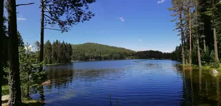保加利亚, 自然, 蓝色, 树, 水, 植物, 风景 - 自然, 天空