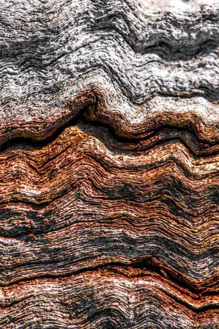 图案，全框架，纹理，特写，无人物，背景，自然图案，粗糙