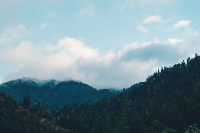 山，树，白，天空，绿色，叶子，山，天