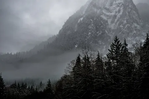 寒冷,多雾,森林,高山,自然,雪,树木,冬天 寒冷,多雾,森林,高山,自然,雪,树木,冬天