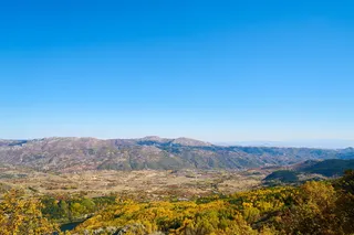 秋天，季节，风景，自然，美丽，背景，户外，枯叶