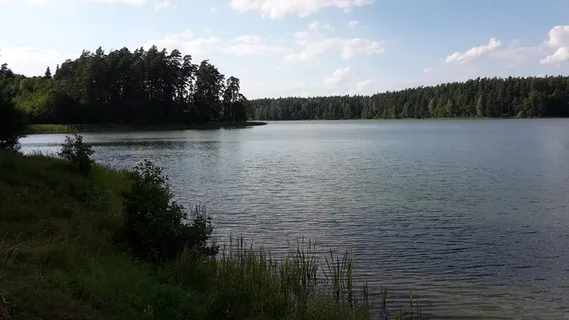 湖,森林,风景,天空,云,夏天,晚上,植物 湖,森林,风景,天空,云,夏天,晚上,植物