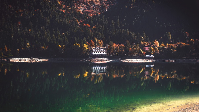 湖水海岸树木植物自然景观倒影