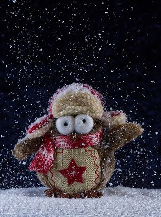 猫头鹰，冬天，雪，有趣，帽子，围巾，鸟，可爱