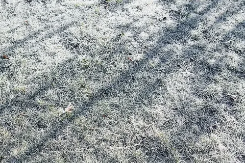 早晨霜冻覆盖了草地