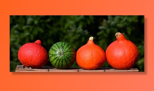 南瓜，横幅，自然，标题，秋季装饰，收获，感恩节，秋天