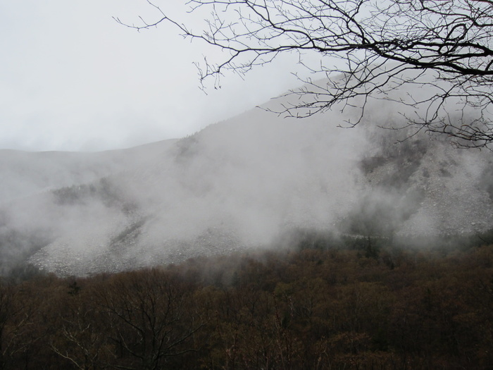 青山迷雾