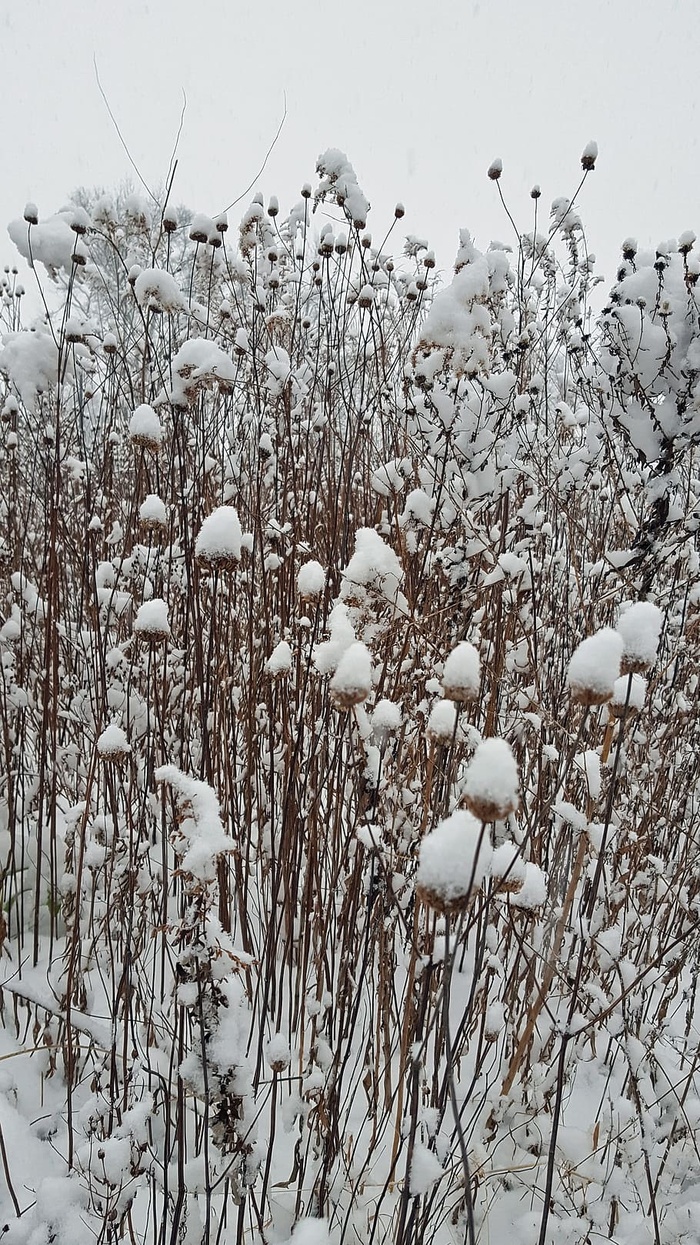 冬天的新鲜雪覆盖着一片废弃的宇宙。