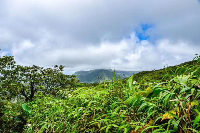 la soufriere火山，桌岩，火山，圣文森特和格林纳丁斯，植物，山，云天，树