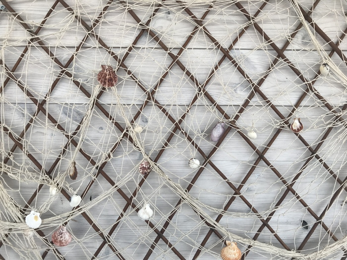 保加利亚，纯净，网，绳，白色，夏天，贝壳