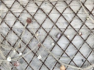 保加利亚，纯净，网，绳，白色，夏天，贝壳