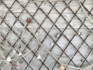 保加利亚，纯净，网，绳，白色，夏天，贝壳