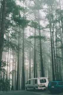 塔科马、美国、华盛顿、太平洋西北、pnw、point Defeance、wander、calm