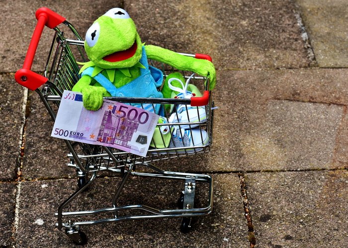 green，holding，500欧元钞票，Kermit，购物车，青蛙，购物，乐趣