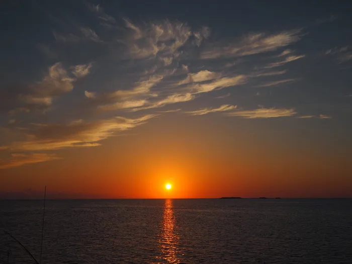 身体，水，日落，海洋，水，太阳，海洋，自然，海洋