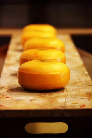 圆形橙色条，奶酪，圆形，乳制品，荷兰，食品，荷兰，大