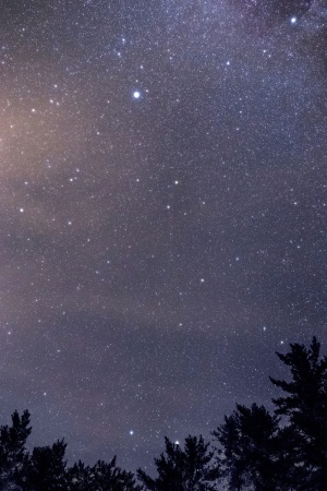 白星