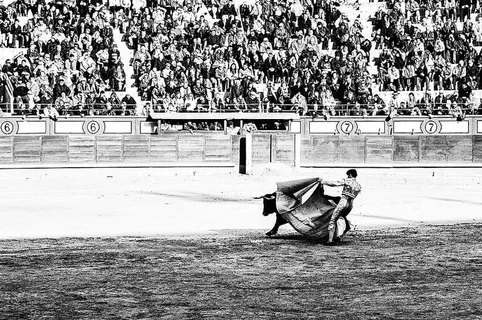 西班牙，马德里，拉斯文塔斯托罗斯广场，黑白，托雷罗，公牛，人群，耻辱