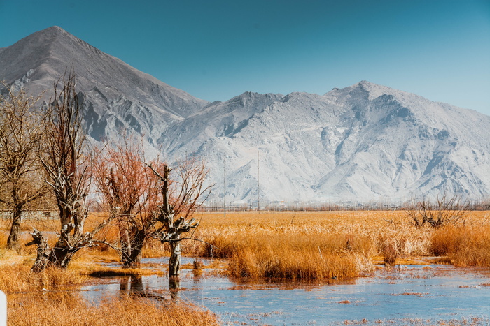 西藏，拉鲁湿地，念青唐古拉，山，风景-自然，水，环境，雪