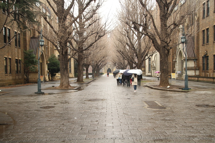 东京大学，历史，日本，街道，城市景观，人，城市，建筑