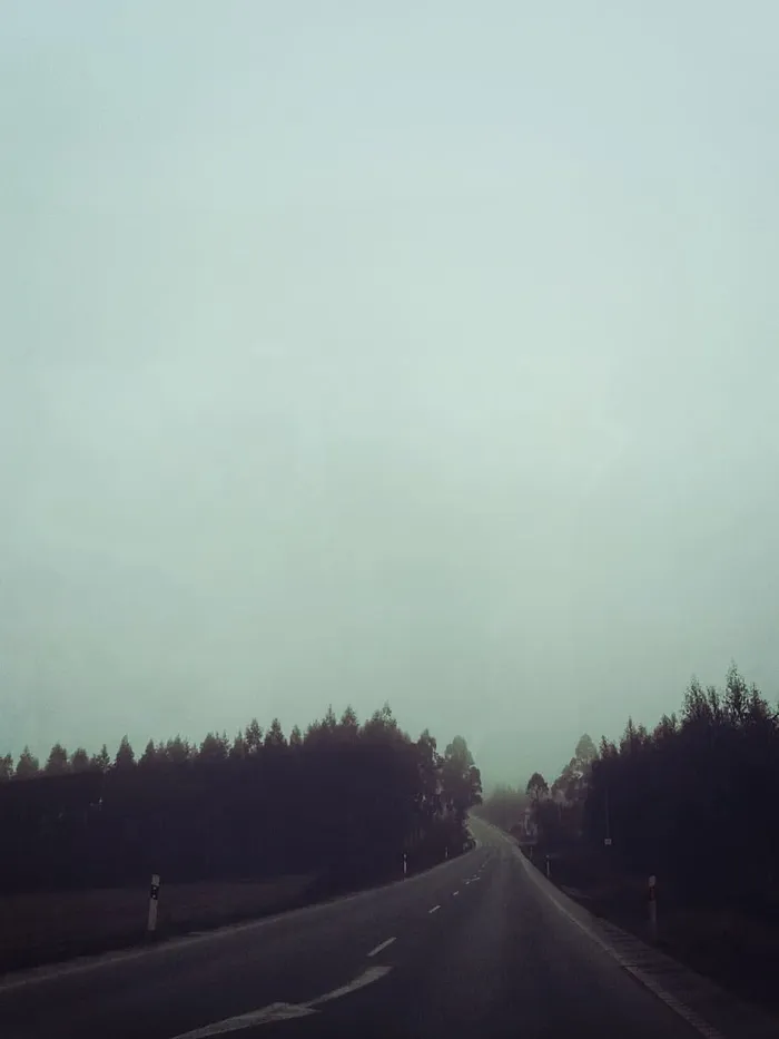 曲线、雾、雾、森林、雾霾、道路、街道、树木