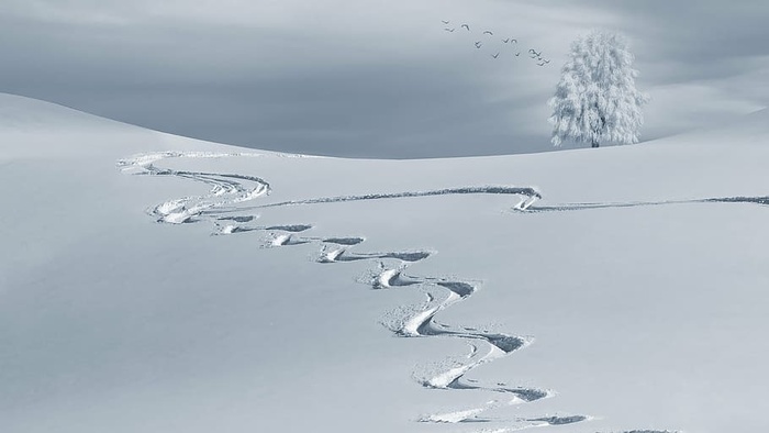 雪铺照片，冬天，山，雪，雪景观，冬天，寒冷，树