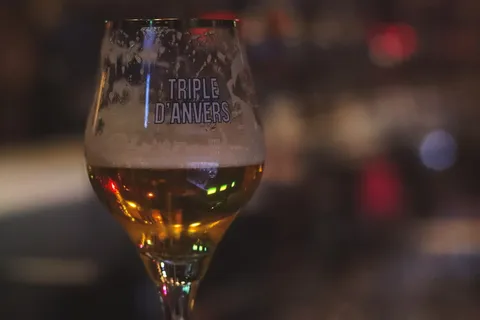 安特卫普,啤酒,杯子,半空,饮料,点心,食品和饮料,酒精 安特卫普,啤酒,杯子,半空,饮料,点心,食品和饮料,酒精