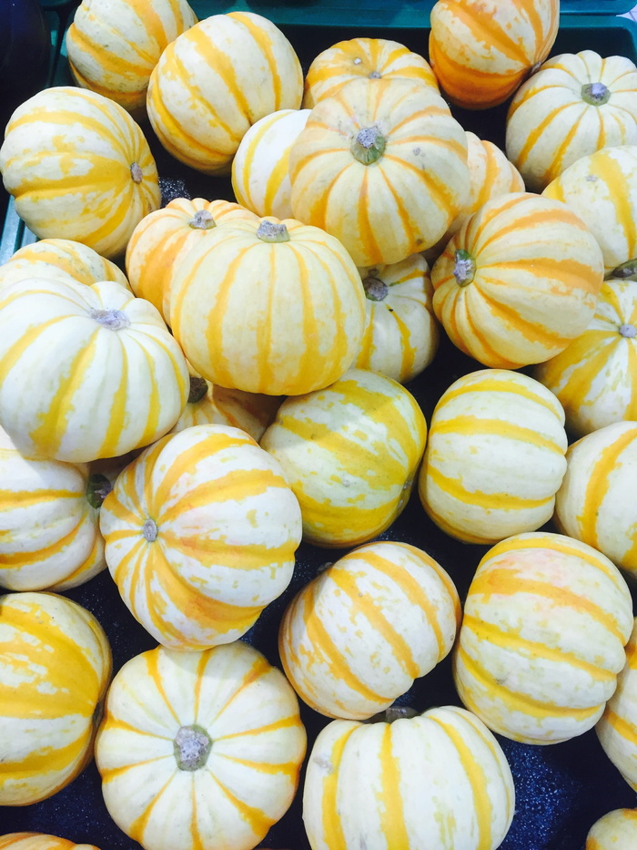 万圣节，南瓜，小，食物和饮料，食物，新鲜，健康饮食，幸福