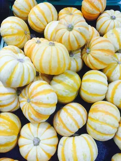 万圣节，南瓜，小，食物和饮料，食物，新鲜，健康饮食，幸福