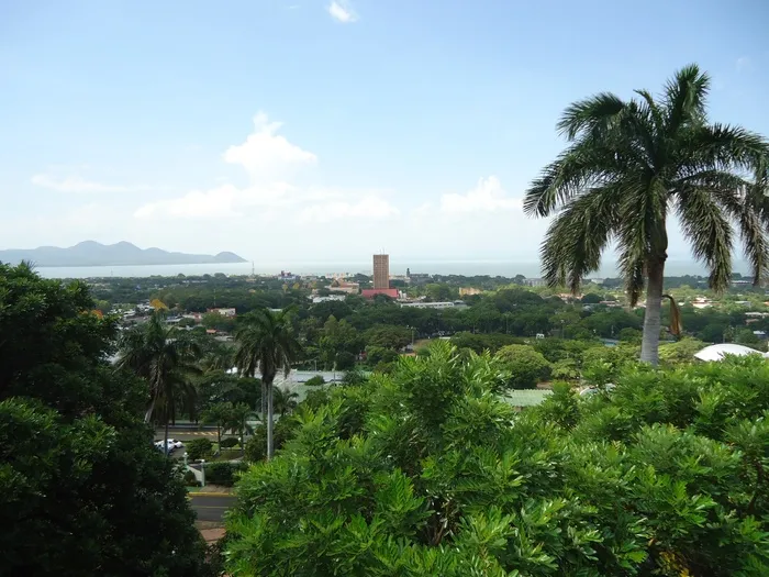 绿叶树，马那瓜，全景，湖泊，城市，地平线，尼加拉瓜，绿树