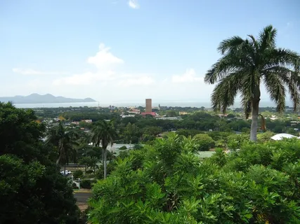 绿叶树,马那瓜,全景,湖泊,城市,地平线,尼加拉瓜,绿树 绿叶树,马那瓜,全景,湖泊,城市,地平线,尼加拉瓜,绿树