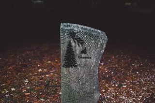 棕色和白色表面上的黑色和灰色石头花卉浮雕艺术装饰