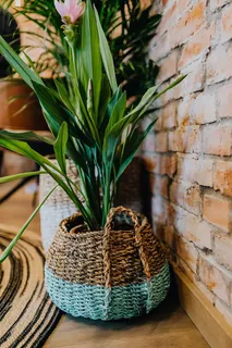 带有绿色植物的现代室内细节