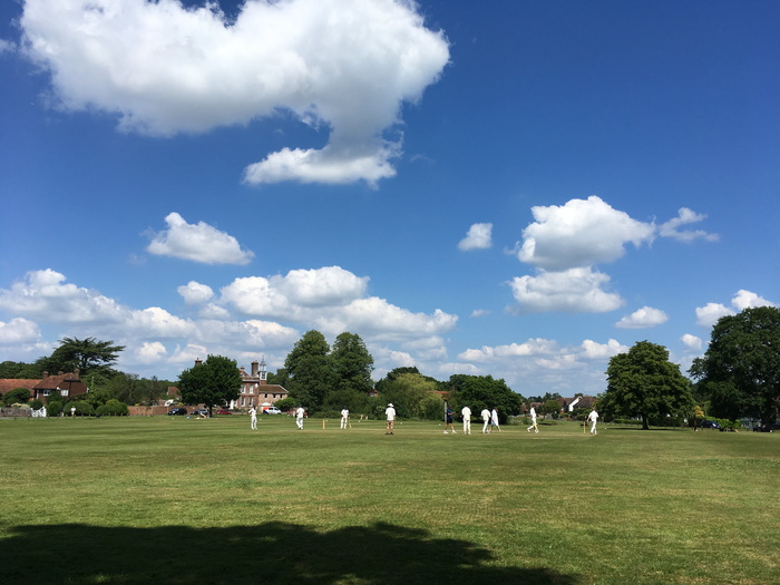 matfield green、cricket、kent summer day、grass、nature、Outdoor、tree、summer